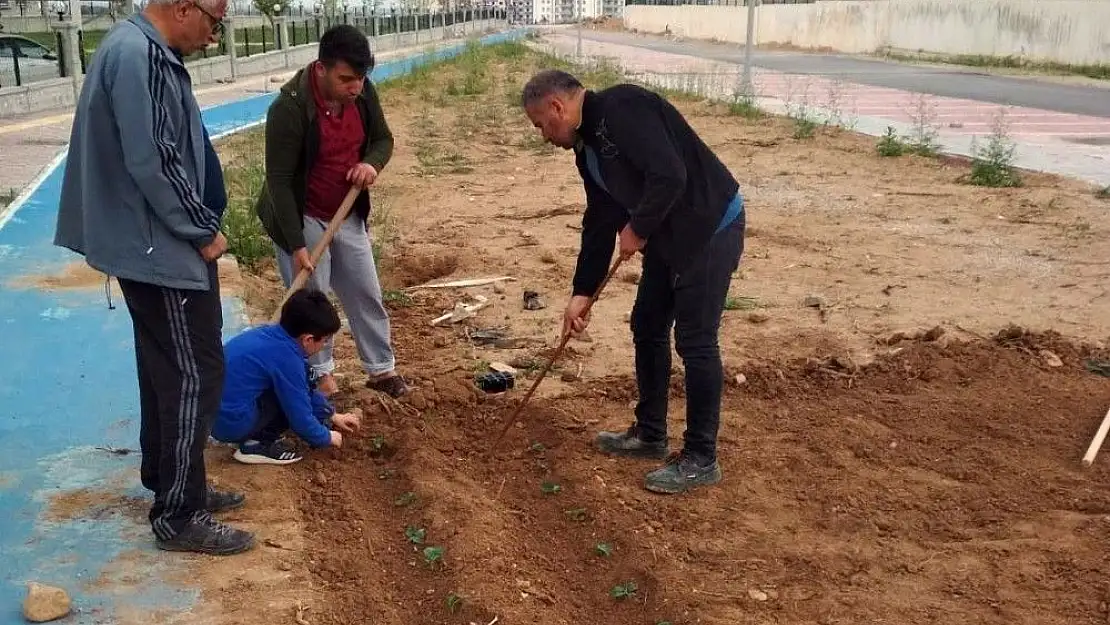 'Vatandaşlardan yüksek fiyatlı sebzeye karşı çözüm'