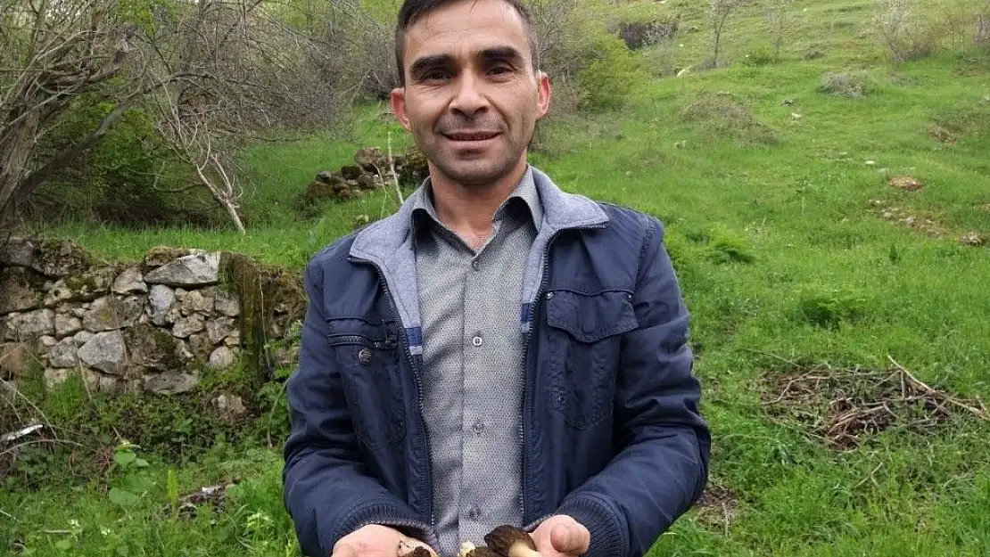 'Piknikte tesadüfen bulundu, fiyatı cep yakıyor'