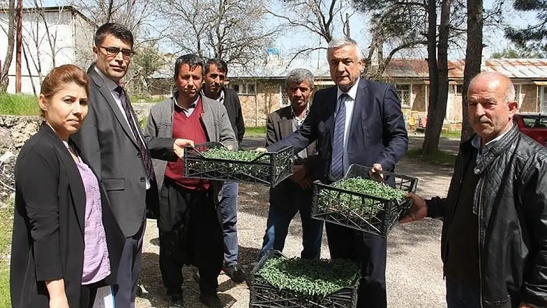 'Tut´da domates fidesi ve hıyar tohumu dağıtıldı'