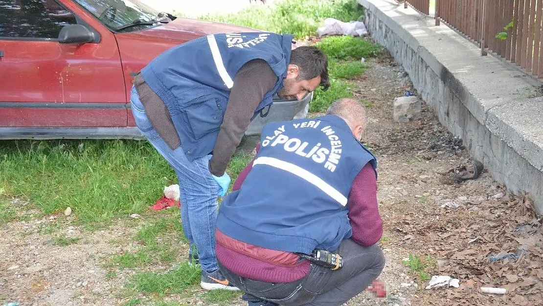 'Toprağa gömülen cenini, köpekler bulup çıkardı'