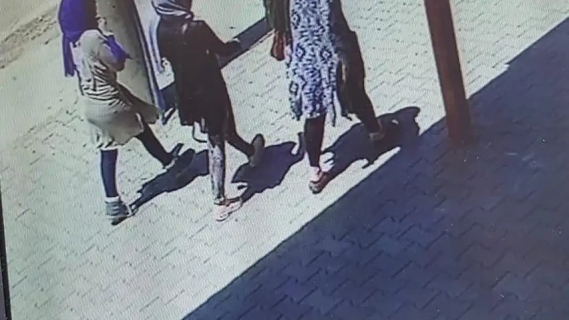 'Gezici hırsızlık şebekesi çökertildi'