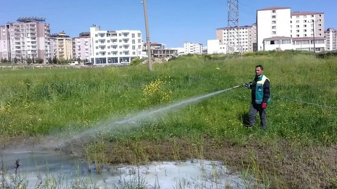 'Yağışların gölete çevirdiği arazilerde ilaçlama'