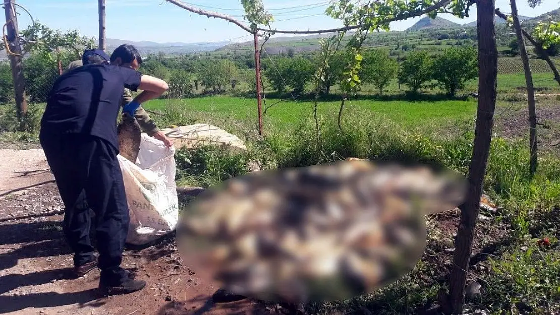 'Kaçak avlanan 1 ton balık ele geçirildi'