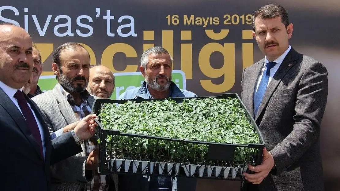 'Sivas´ta sebze fidesi dağıtıldı'