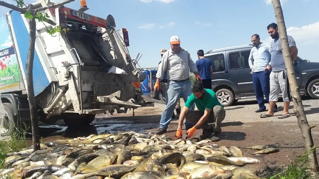 'Bu kez de 1 ton 200 kilo balık çöp oldu'