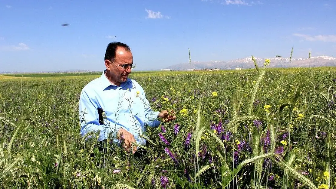 'Canlılarının hayatını kurtaracak proje tuttu'