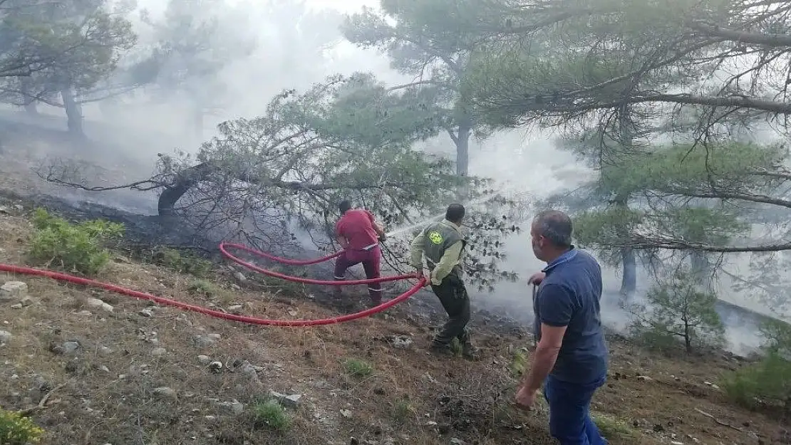 'Ormanlık alanda korkutan yangın'