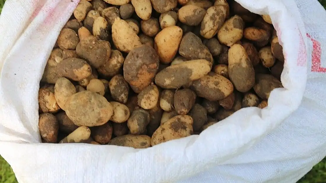 '25 kilo salep soğanına 300 bin TL ceza kesildi'
