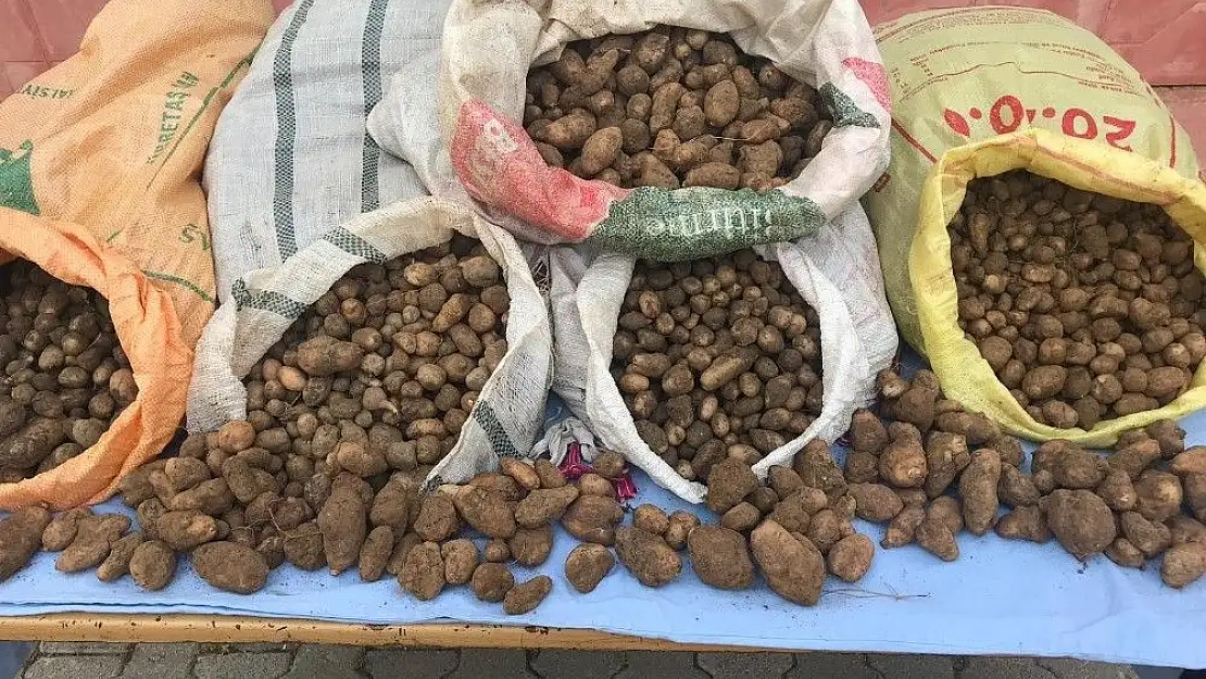 'Salep soğanı toplayanlara bugün de 240 bin TL ceza kesildi'