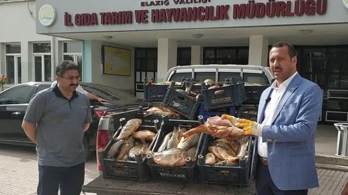 'Yine kaçak avlanan 1 ton balık yakalandı, müdür dert yandı'