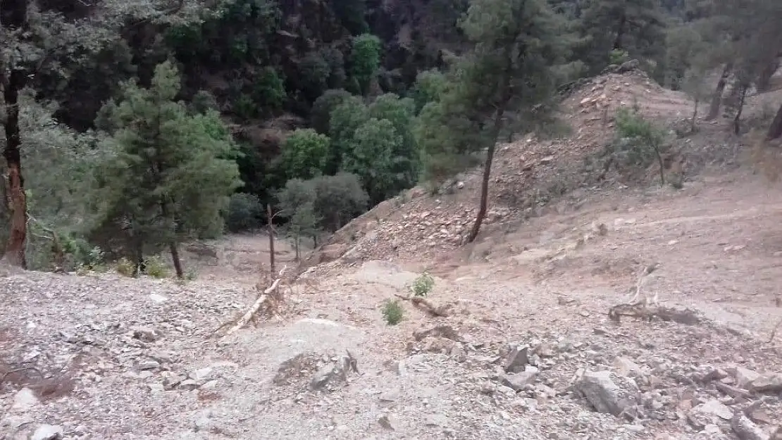 'Pikniğe gitti uçuruma düştü'