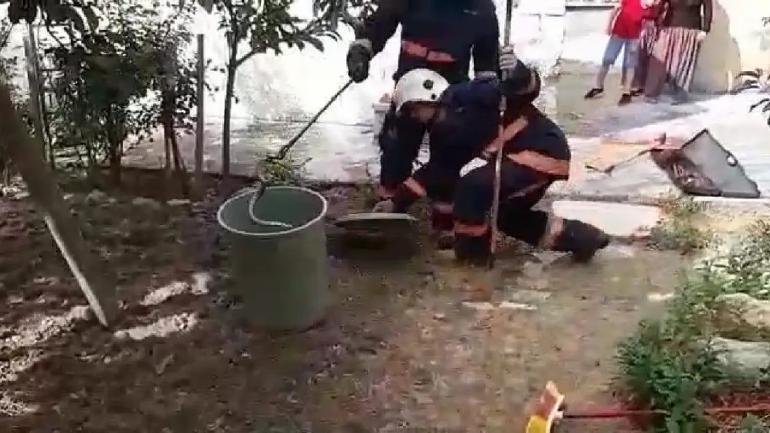 'Evin bahçesine giren yılan yakalanarak doğaya bırakıldı'