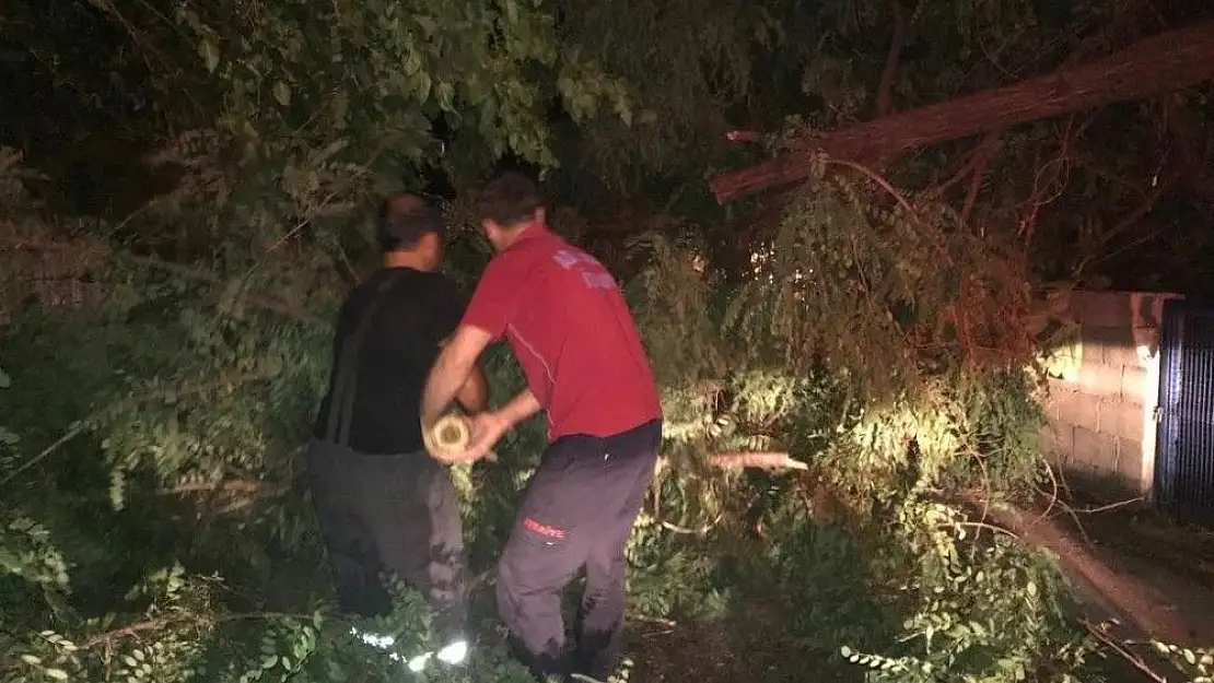 'Şiddetli rüzgar ağaçları devirdi'