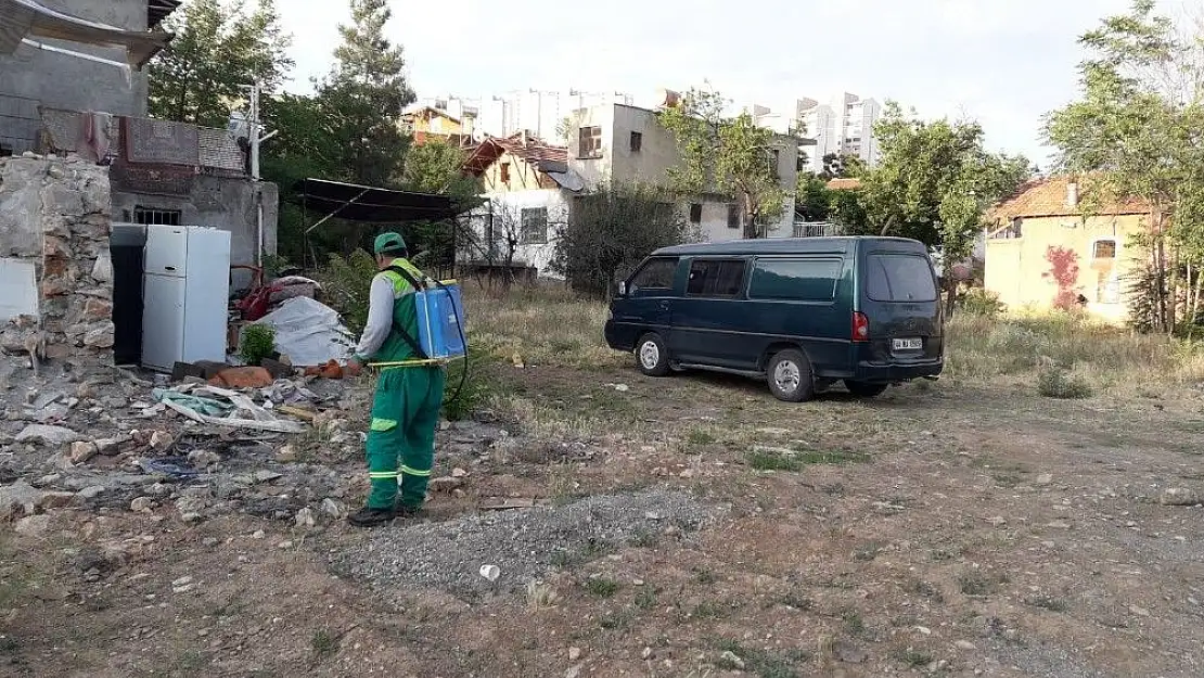 Larva döneminde yağışlar nedeniyle yeterli düzeyde çalışmalar yapılmadı