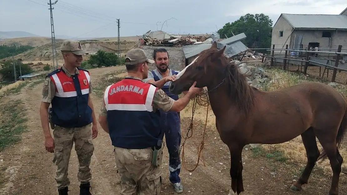 'At hırsızı yakalandı'