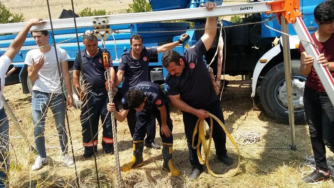 'Kuyuya düşen inek, 5 saat süren çalışmayla kurtarıldı'