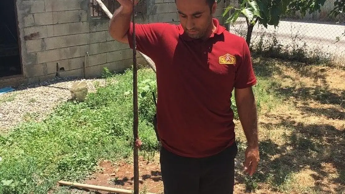 'Eve giren yılanı itfaiye ekipleri yakaladı'