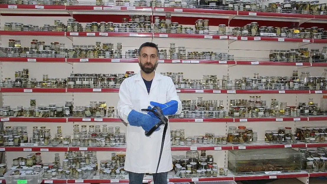 'Sürüngen ve kurbağa laboratuvarı müzeye dönüştürülüyor'