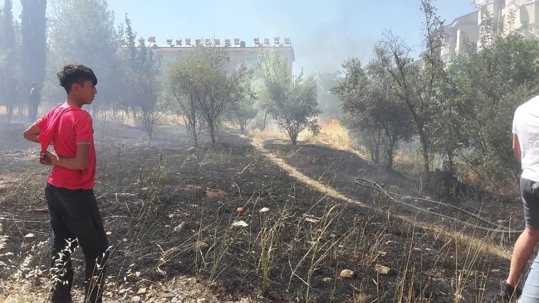 'Ot yangını meyve ağaçlarına sıçradı'