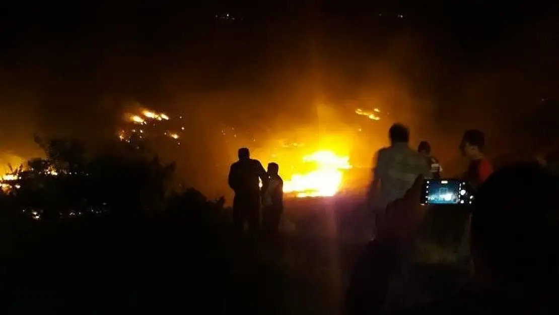 'Elazığ´da  orman yangını'