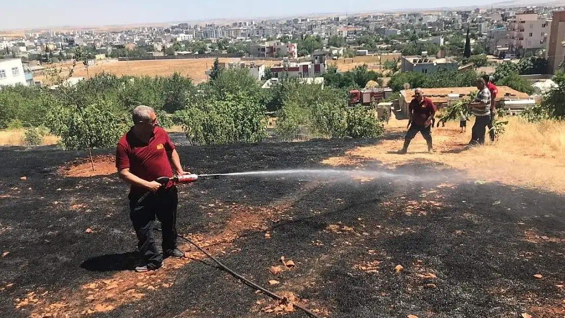 'Adıyaman´da orman yangını'