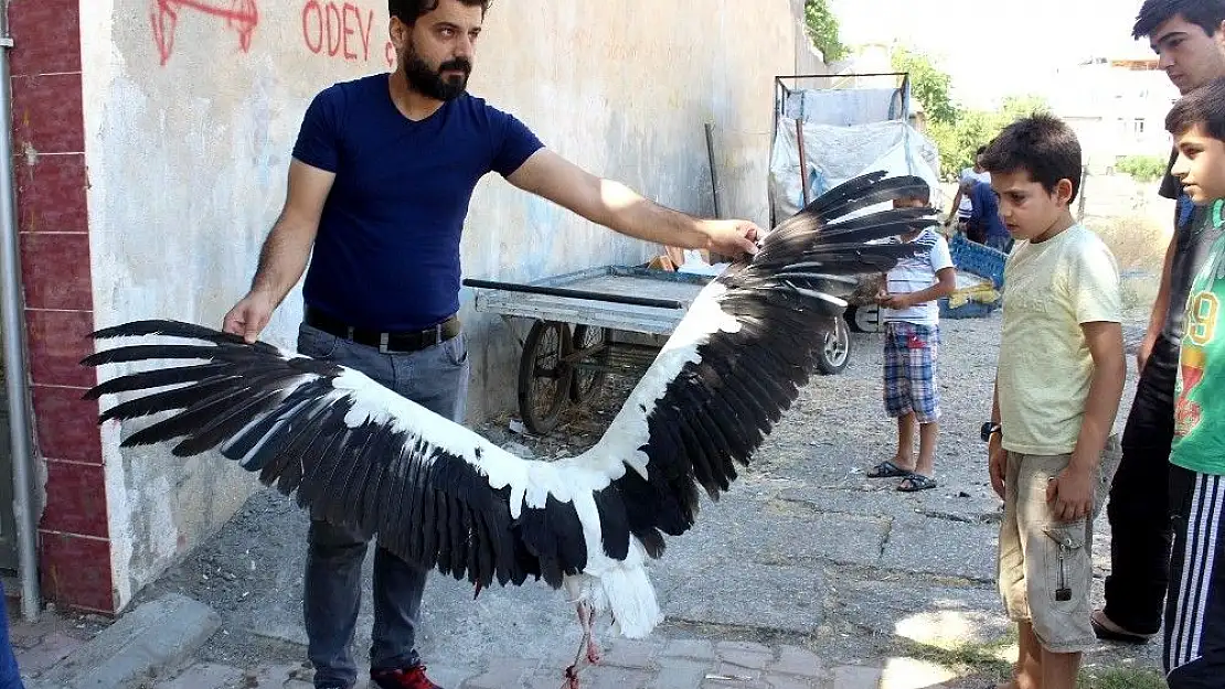 'Mahalleli ayağı kopan leyleğin yardımına koştu'