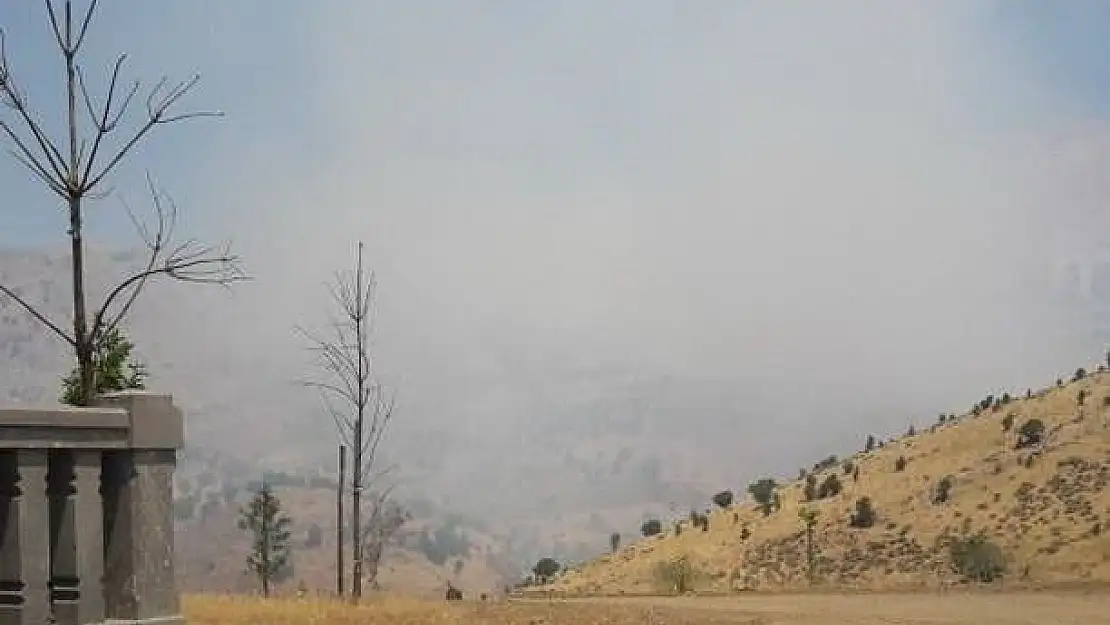 'Adıyaman´da orman yangını'