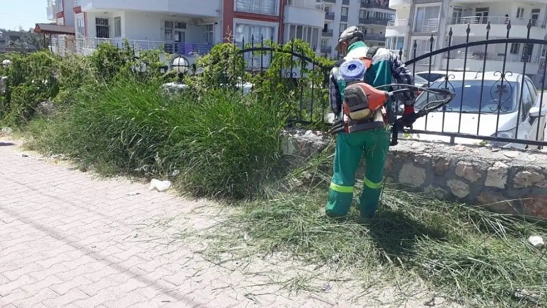 'Tehlikelere davetiye çıkaran yabani otlar temizleniyor'