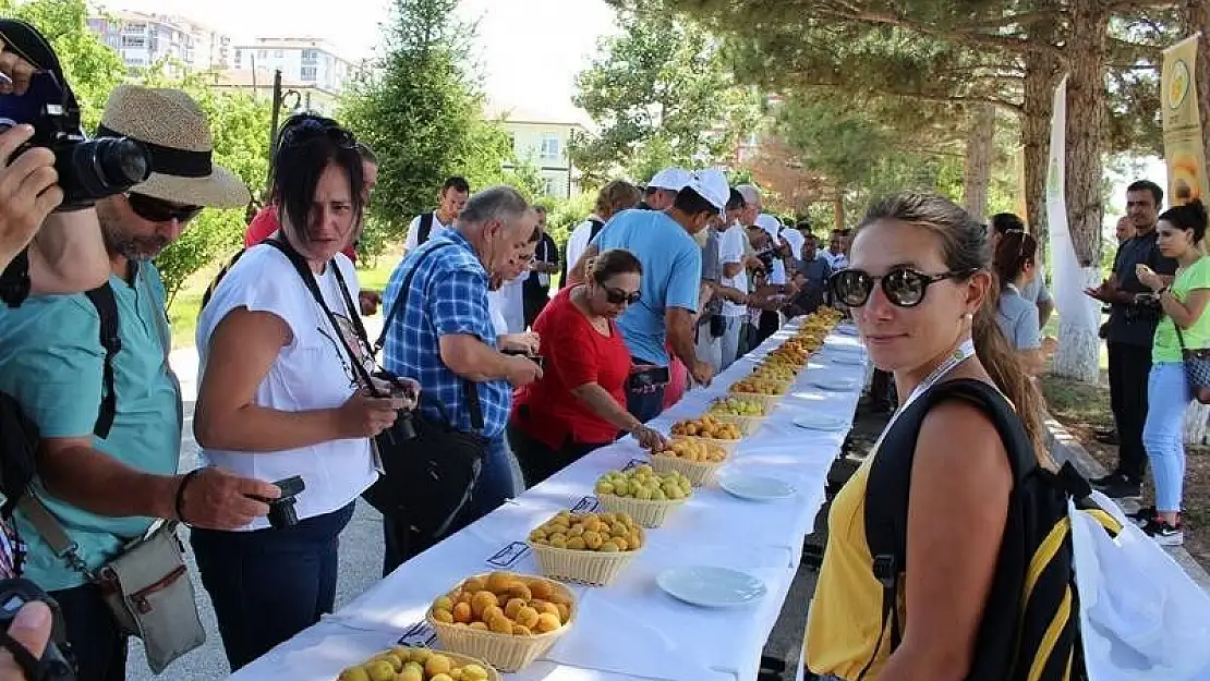 '22 ülke akademisyeninden Kayısı Araştırma Enstitüsüne ziyaret'