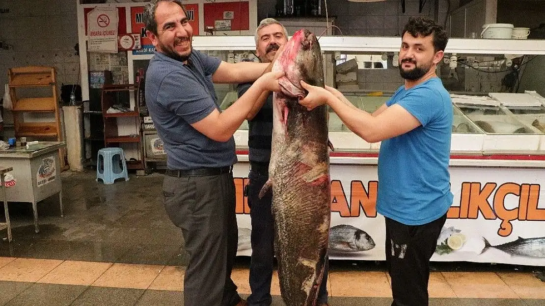 'Ağırlığı 100 kilo, boyu 2 metre'