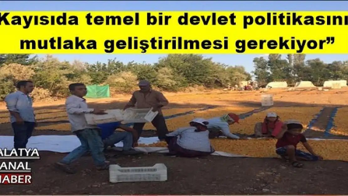 'Kayısıda temel bir devlet politikasının mutlaka geliştirilmesi gerekiyor'''''