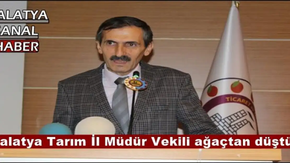 Malatya Tarım İl Müdür Vekili ağaçtan düştü