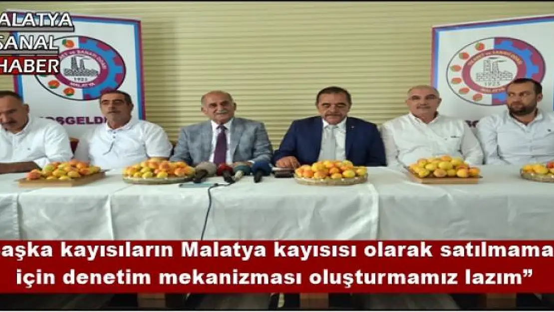 'Başka kayısıların Malatya kayısısı olarak satılmaması için denetim mekanizması oluşturmamız lazım'''''