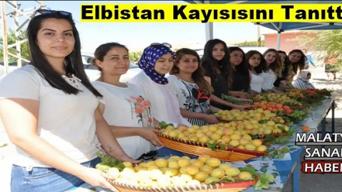 Elbistan Kayısısını Tanıttı