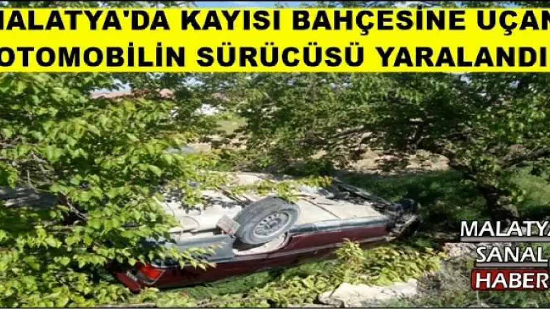 MALATYA'DA KAYISI BAHÇESİNE UÇAN OTOMOBİLİN SÜRÜCÜSÜ YARALANDI