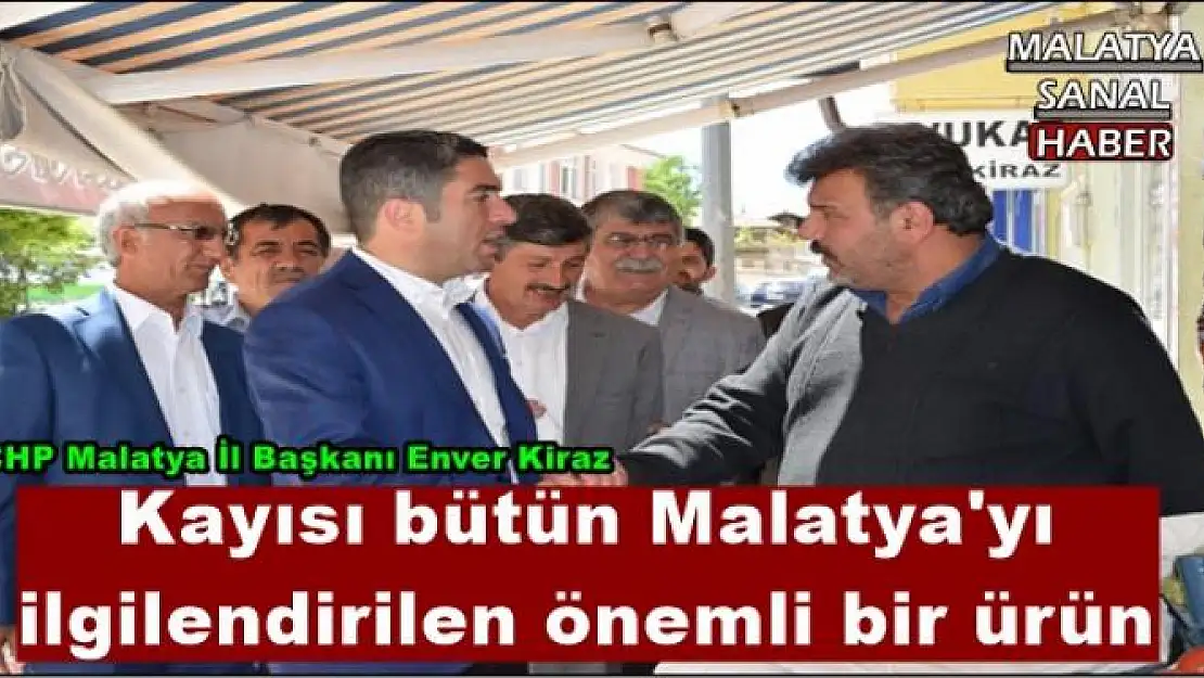 Kayısı bütün Malatya'yı  ilgilendirilen önemli bir ürün