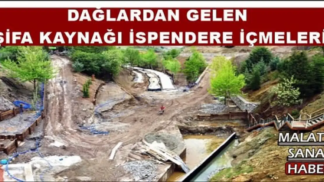 DAĞLARDAN GELEN ŞİFA KAYNAĞI İSPENDERE İÇMELERİ