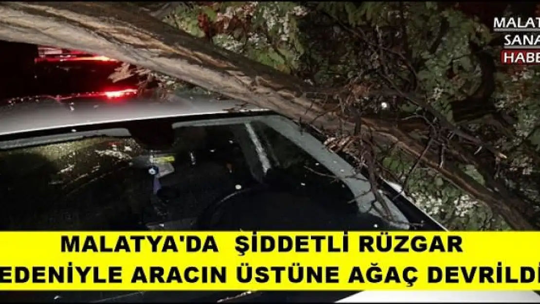 MALATYA'DA  ŞİDDETLİ RÜZGAR  NEDENİYLE ARACIN ÜSTÜNE AĞAÇ DEVRİLDİ