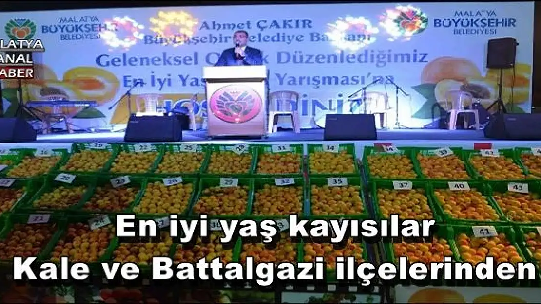 En iyi yaş kayısılar Kale ve Battalgazi ilçelerinden