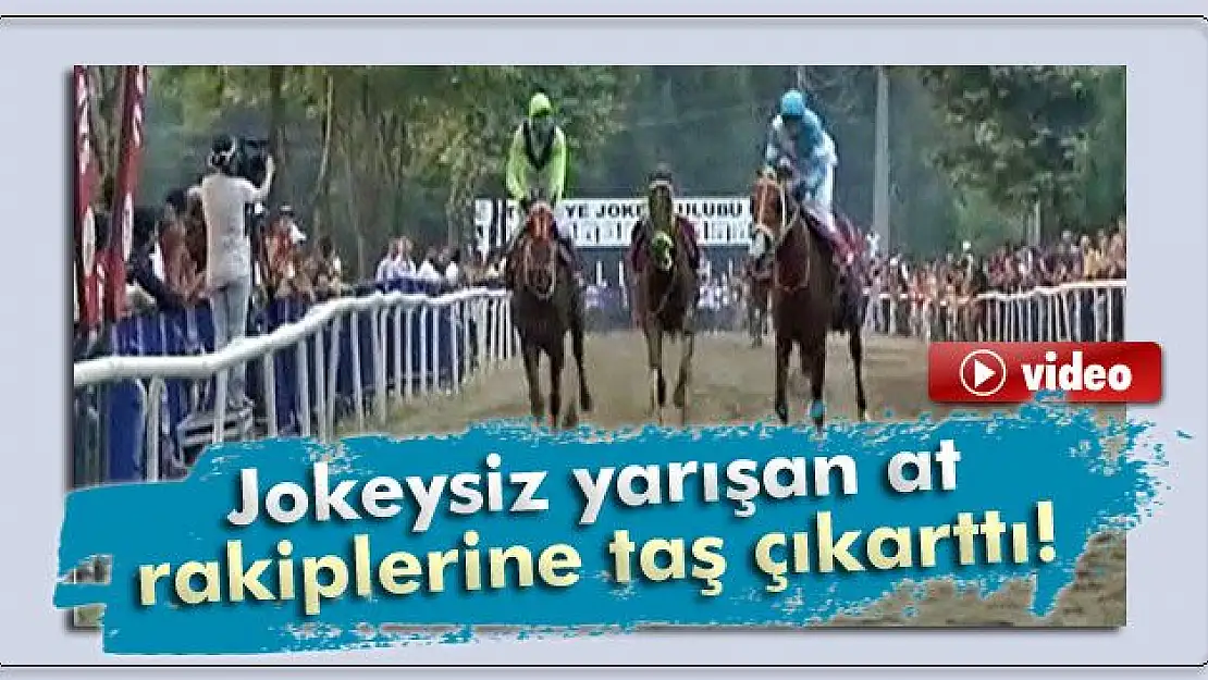 Jokeysiz yarışan at rakiplerine taş çıkarttı!