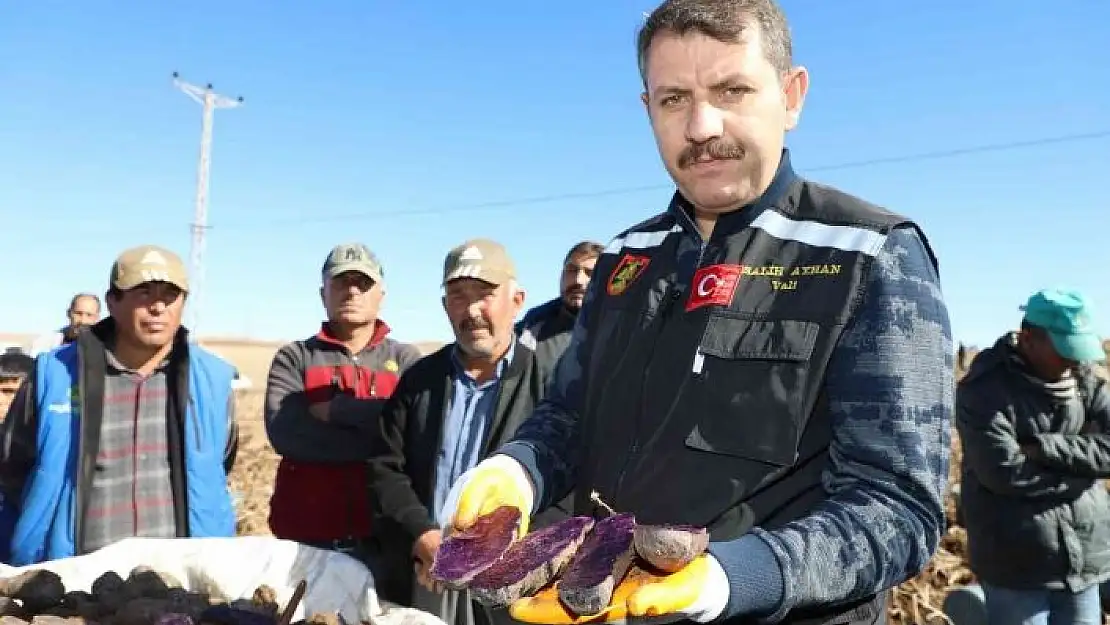 '30 dekar tarlada üretildi, tüm Türkiye´nin ihtiyacı karşılanıyor'