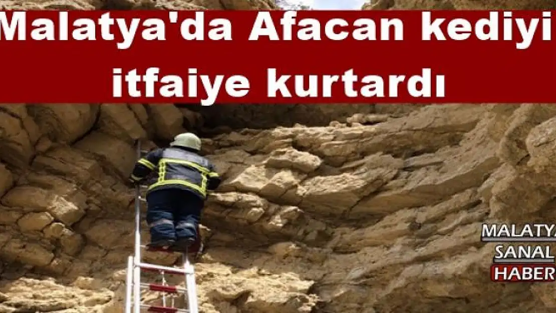 Malatya'da Afacan kediyi  itfaiye kurtardı