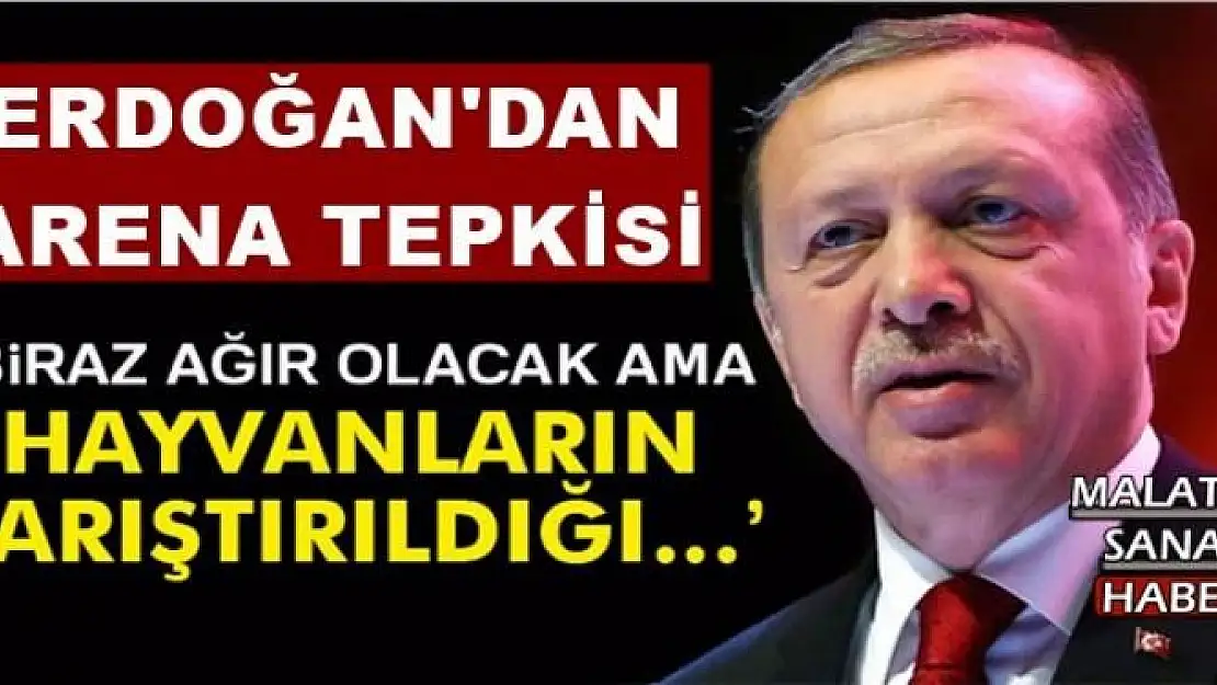 ERDOĞAN'DAN  ARENA TEPKİSİ