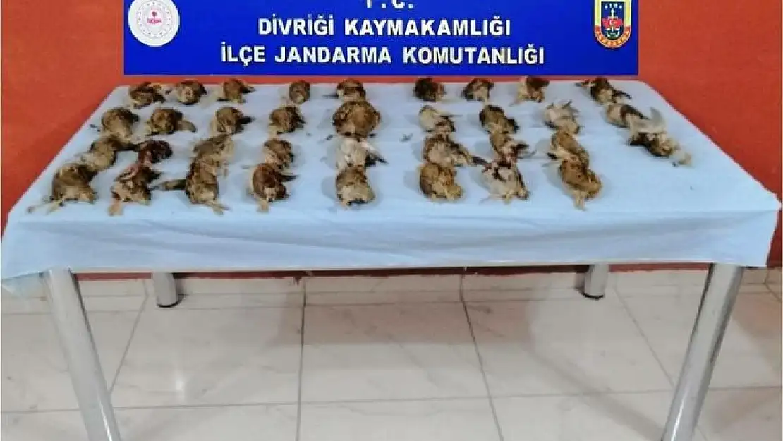 '35 adet bıldırcın pahalıya patladı'