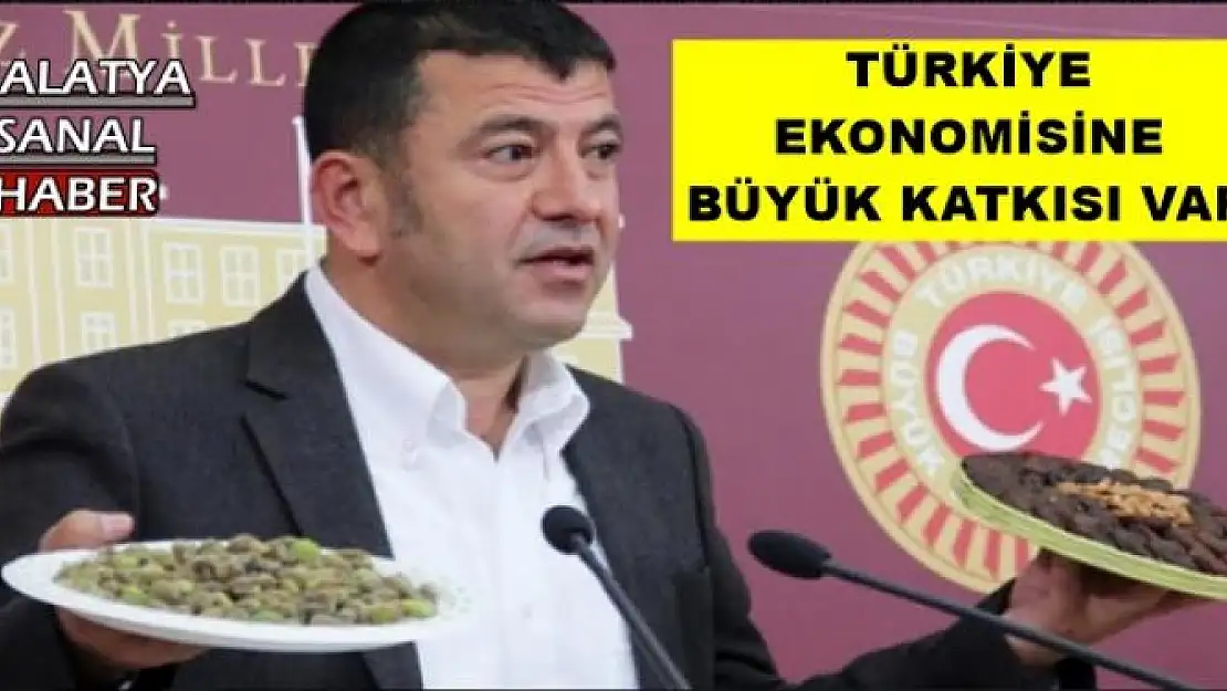 TÜRKİYE EKONOMİSİNE BÜYÜK KATKISI VAR