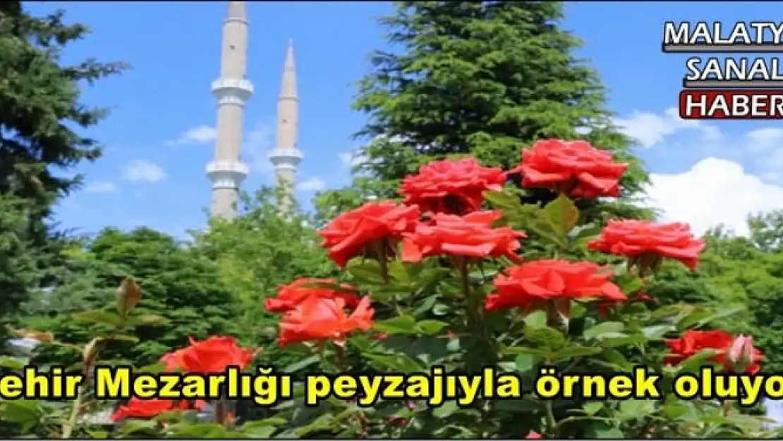 Şehir Mezarlığı peyzajıyla örnek oluyor