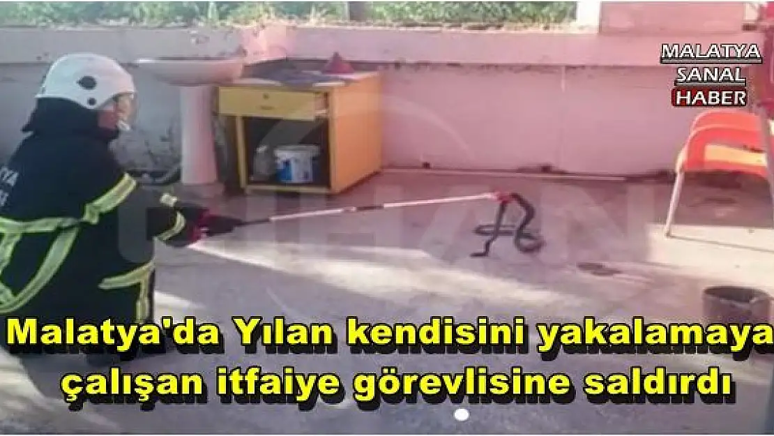 Malatya'da Yılan kendisini yakalamaya  çalışan itfaiye görevlisine saldırdı