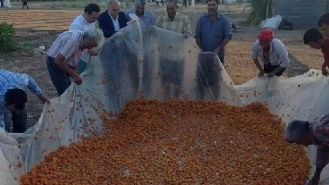 AK Parti Şanlıurfa Milletvekillerinden Akçadağ'a Ziyaret
