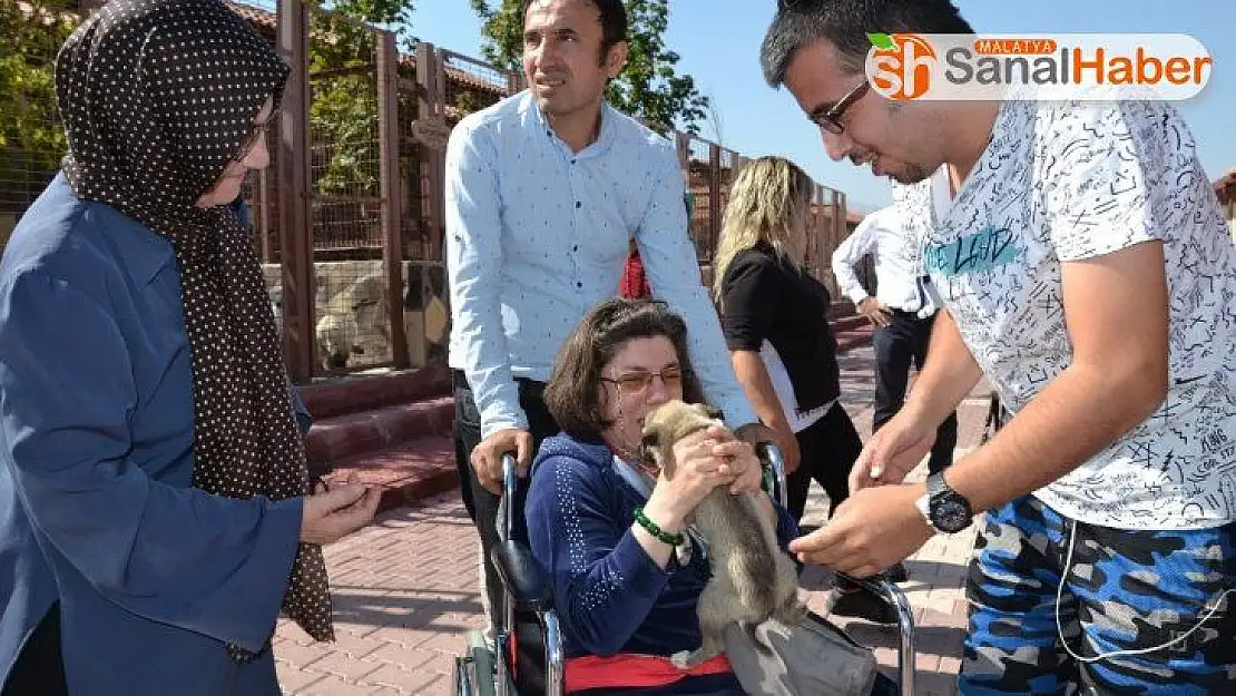 4 Ekim Dünya Hayvanları Koruma Günü
