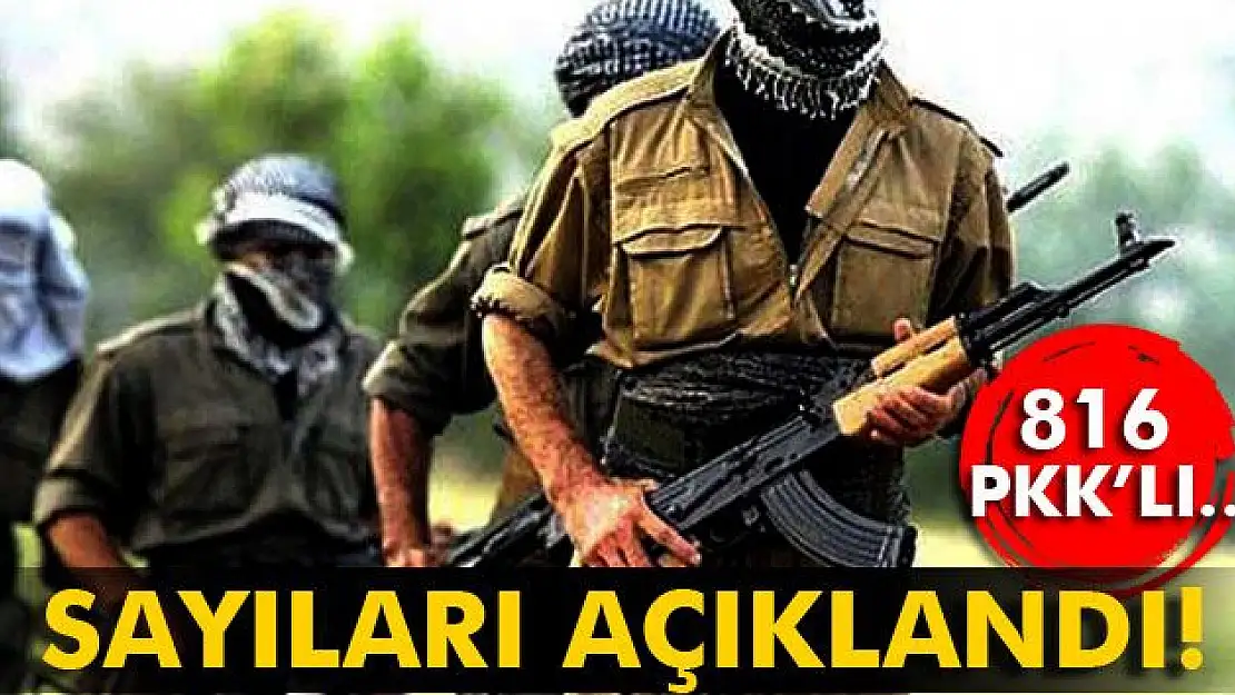 Sayıları açıklandı! 816 PKK´lı...